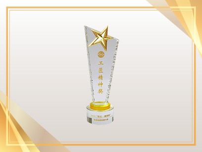 2019“张江·康桥杯”集成电路技能大赛 工匠精神奖